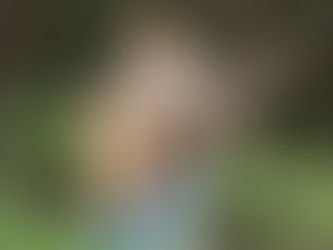 Jeannine Higgins   - 'Not Like Me'