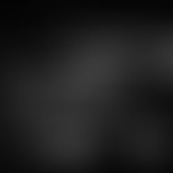 Sons of Levin - 'Going Down the Road Feeling Bad'