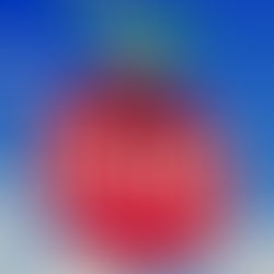 The Collective Bus - 'Fold It Back'