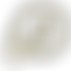 W.A.M. Awards Announces Podcast Ceremony: Celebrating Independent Music Excellence