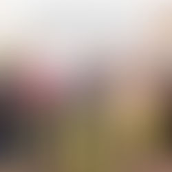 Freerunner – ‘You Gotta Move’