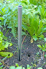 moisture probe in ground.jpg