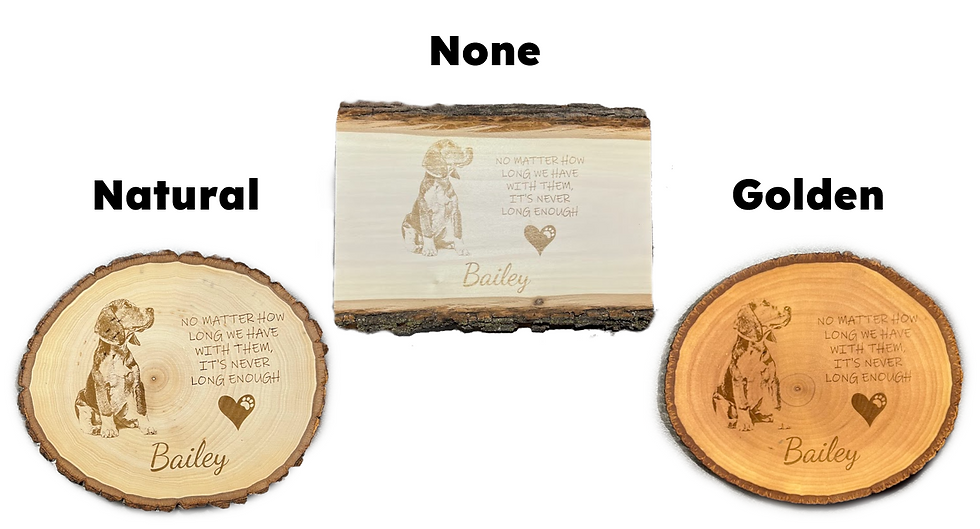 Thumbnail: Bible Verse Sign