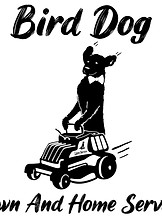 Nate Darling of Bird Dog Lawn & Home Grand Rapids Michigan