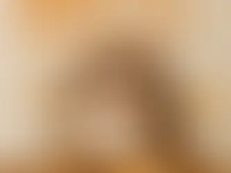 ご飯を笑顔で食べる猫。タンパク質の大切さを伝える健康コラムの画像。おのば能登医院の体の豆知識シリーズ。