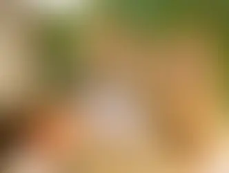 🐾8月の休診のおしらせ🐾