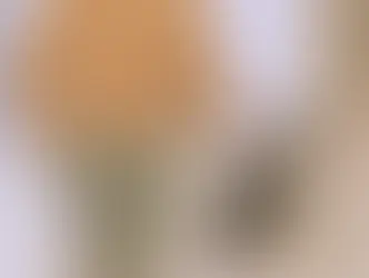 猫の隊長、後方確認中。先生は今日も静かに同行します。