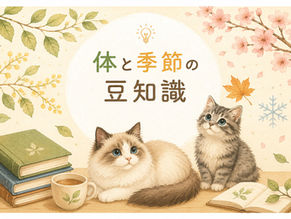 体と季節の豆知識