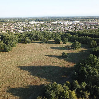vue aerienne du champ.JPG