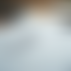 Como a Gestão Preventiva Reduz Riscos Legais: Estratégias para uma Gestão de Riscos Legais Eficaz