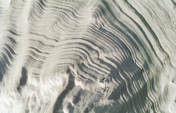 ++ HOME 2 1987 RIDIN COSSE 15.tif ICE