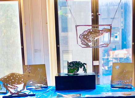 Redpath Museum: Silent Auction: Endangered Amphibian Conference 2019