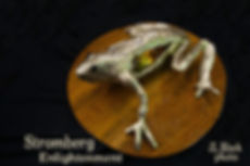 SS frog oxtail font.jpeg