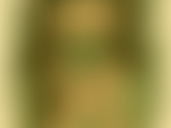 🌿 Natürlich stark durch Zyklus & Wechseljahre