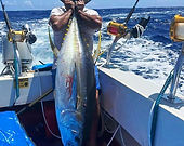 Big Yellowfin tuna (Ahi) caught using electric fishing reel in Hawaii.jpg