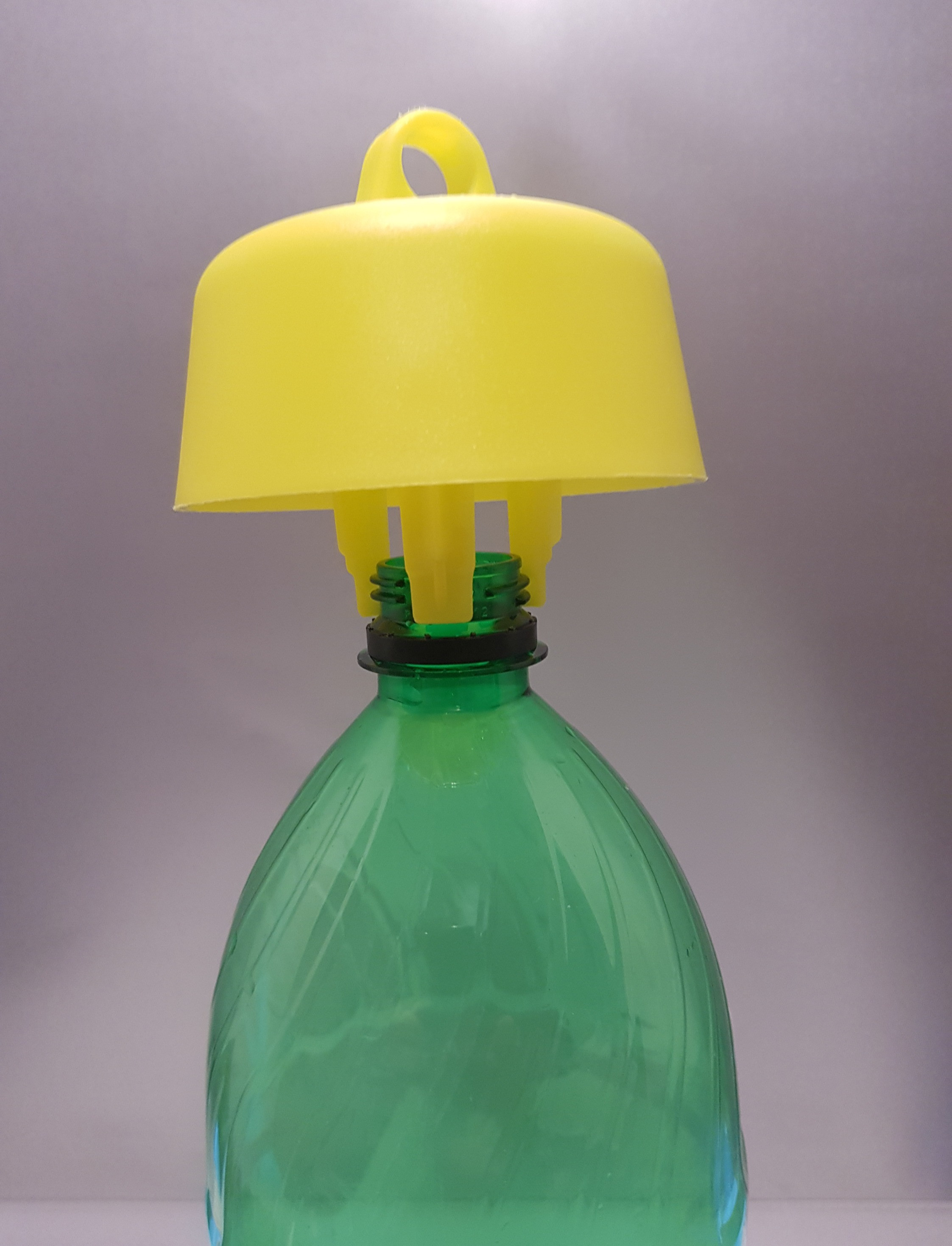 piège frelon et guêpe