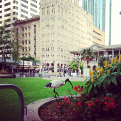 @Brisbane, Australia