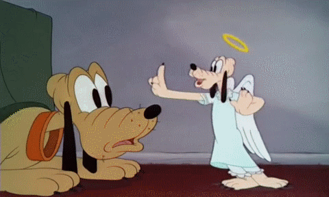 giphy-1.gif