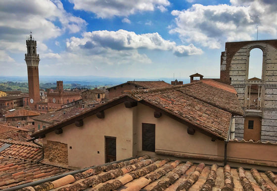 Terracotta Plateau, Siena, Italy
