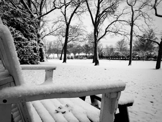 Cold Seats, Long Island, New York