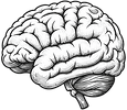 Brain.png