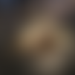 Hokkaido Scallop from Moody Tongue in Chicago, IL. Michelin-star restaurant and worlds only michelin-star brewery. Photo from Jabri Fine Dining.