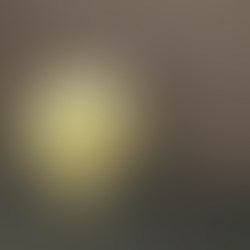 NA Pairingat Ever in Chicago. Two Michelin-star cuisine. Our second time going to Ever, and had a fabulous experience. Photos from photographer Emma Jabri, Jabri Fine Dining.