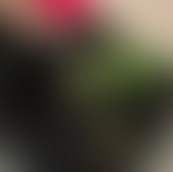 Large decorative meal bowl with succulents and garden theme set up. Delicious food at The Bobby Flay Experience at Next in Chicago