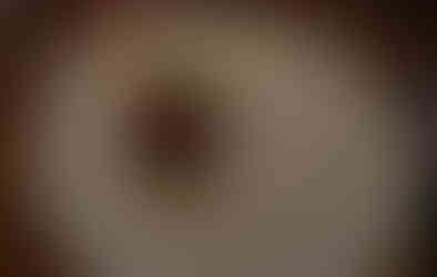 THE FARMER from Ariete with Seasonal vegetabes, goat cheese espuma, pepita soil