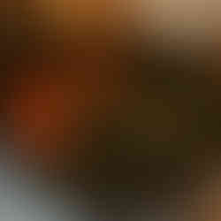 Dente Di Leone SheWolf in Detroit Michigan with tomatoes and greens in stone iron bowl. Photographed by Jabri Fine dining