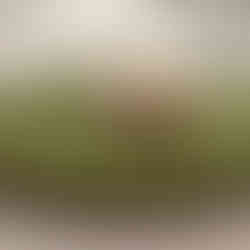 Inspiration 'Sadya' Celebration of Flavors