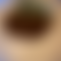 Tamal in sauce with spinach from Los Felix. Restaurant located in Miami. Jabri Fine Dining, JFD, photographer (Emma Jabri)