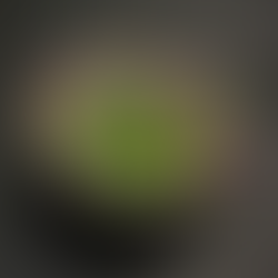 Colorful Platter with greens and purples in black bowl. Served at two michelin-star restaurant, Ever