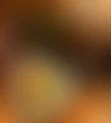 Thon Cru, Tartine De Tomates, Poireaux Vinaigrette appetizers set up on table at oak and reel in detroit michigan. photographed by Jabri Fine Dining