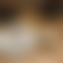 Tasting plate with saucefrom Soseki in Orlando, FL, Michelin-star experience. Photographed by Jabri Fine Dining. Chef's Michael Collantes and Kevil Abanilla