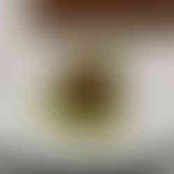 Stunning Array of Dishes from Omo by Jont in Winter Park Florida, Near Orlando, FL. Beautifully served dishes in intimate dining setting. Michelin-star cuisine with Chef Ryan Ratino. Jabri Fine Dining photographer Emma Jabri, JFD.