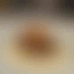 Decadent dish in delicious sauce from Foreigner in Orlando. Photo from Jabri Fine Dining trip