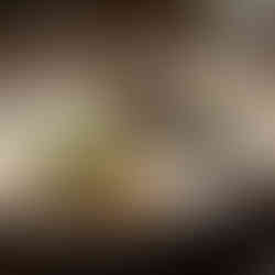 Pineapple Chocolate from Cariño in Chicago, IL. Michelin-star mexican dining experience. Located Chicago's Lakeview neighborhood. JFD, Jabri Fine Dining photograph.