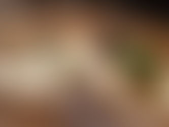 Tea of lightly smoked fruits and vegtables, Cured sole with curry remoulade and Gunde's pickles, and Shrimp toast with horseradish and nasturtium