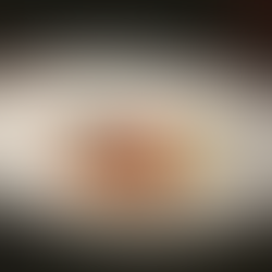 Le Homard set up beautifully on white plate with dim background. 