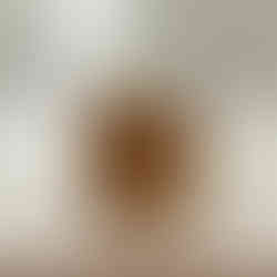 Victoria & Albert’s