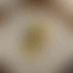 Langoustine and Cucumber