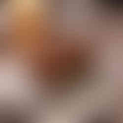 Little Blackbird Cannoli 