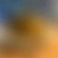 Coliflor from Capa in Orlando, FL. A beautiful plate of cooked cauliflower with basalmic drizzle from Michelin-star restaurant. Jabri Fine Dining photograph