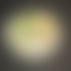 Beautiful modern cuisine at Ever in Chicago. Two Michelin-star restaurant dessert.