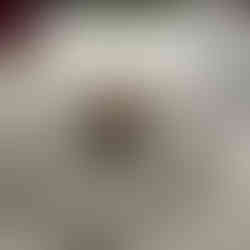 Hazelnut praline parfait, black apple ice cream, artichoke twig