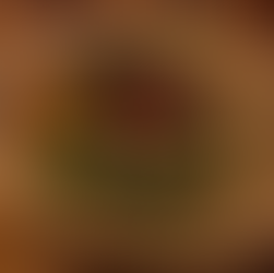 Grilled Day's Catch salad from Los Felix in Miami. Jabri Fine Dining photograph of expensive cuisine.