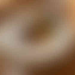 Roasted lamp loin with leeks and escarole with frozen anise jelly with mint