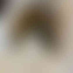 Sweets from Esme in Chicago, IL, located around Lincoln Park. Beautiful, artistically unique cuisine and set up. Michelin-star restaurants in Chicago. Jabri Fine Dining Photograph by photographer Emma Jabri