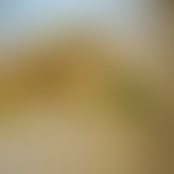 Corzetti – traditional Ligurian pasta “coins” stamped with ornate designs This corzetti was special and stamped with the Oak & Reel crest. Jabri Fine DIning.